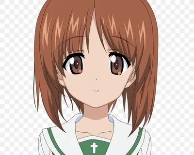 Netori Miho Nishizumi 