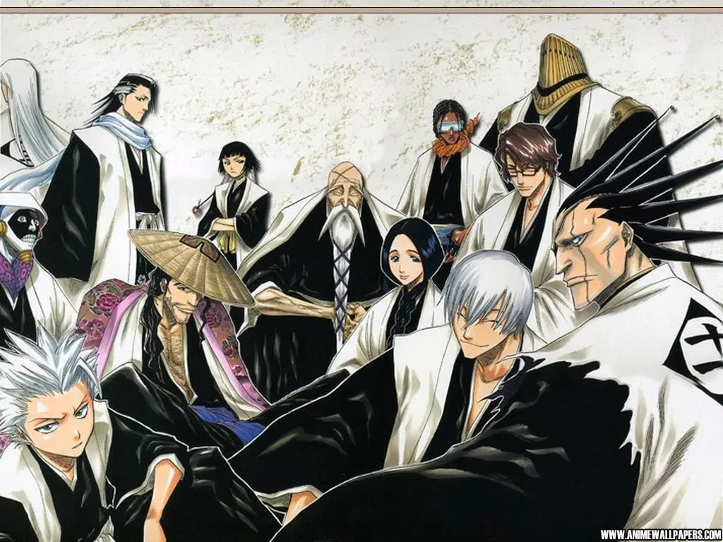 Bleach gotei 13(Before The Series)