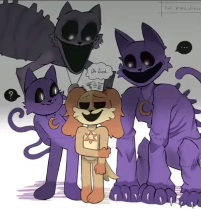 CatNap room