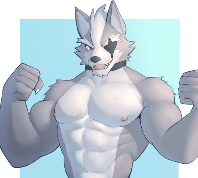 Wolf O'Donnell