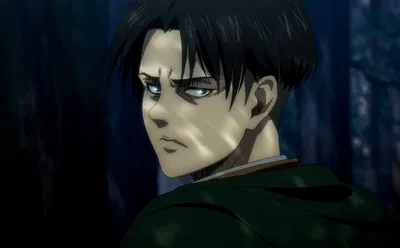 Levi Ackerman