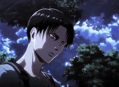 Levi Ackerman