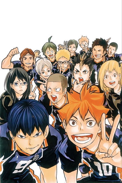 Karasuno Volleyball Team 