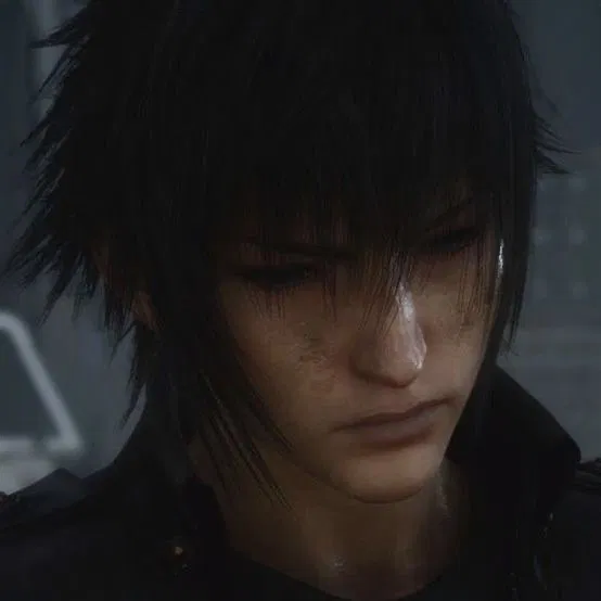 Noctis Lucis Caelum