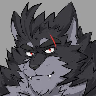Vulgor