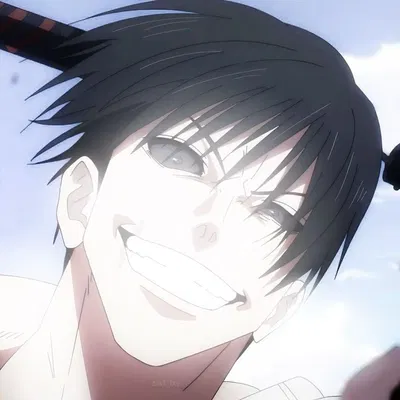 Toji Fushiguro 
