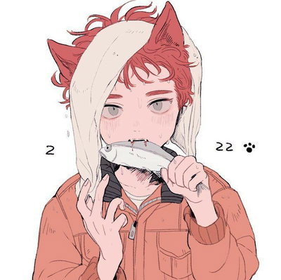 Fox Kyle Broflovski