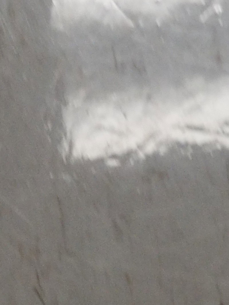 König