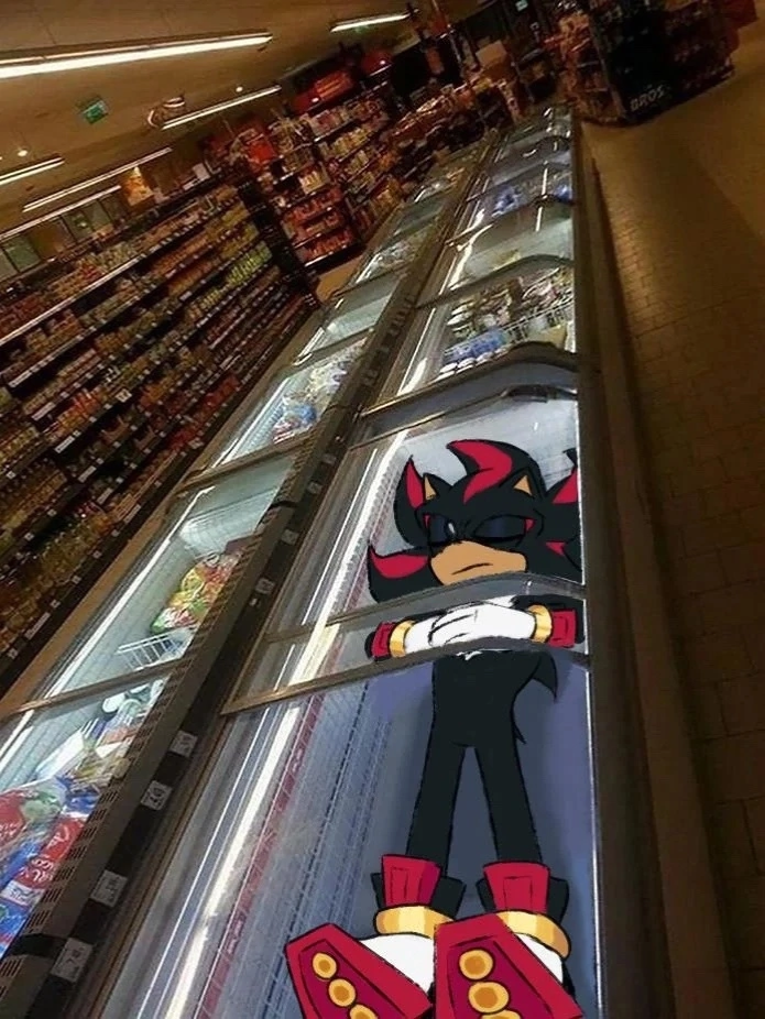 Shadow the hedgehog