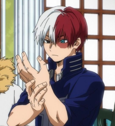 Shoto Todoroki
