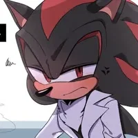  Shadow The Hedgehog