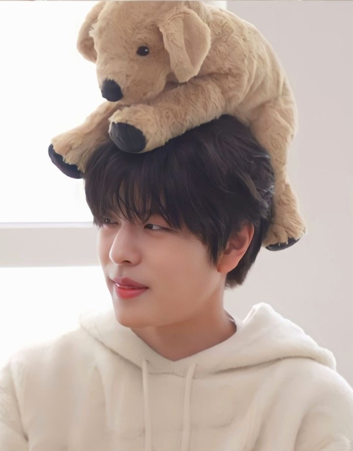 Seungmin - Urgent puppy !