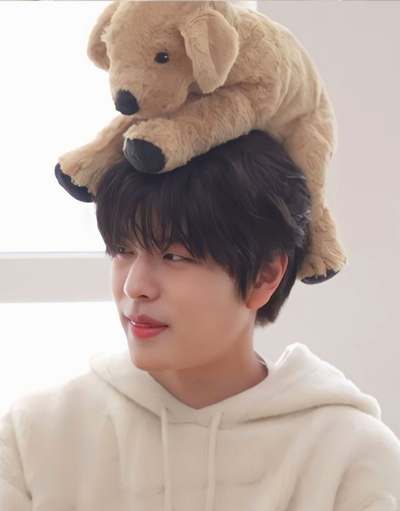 Seungmin - Urgent puppy !