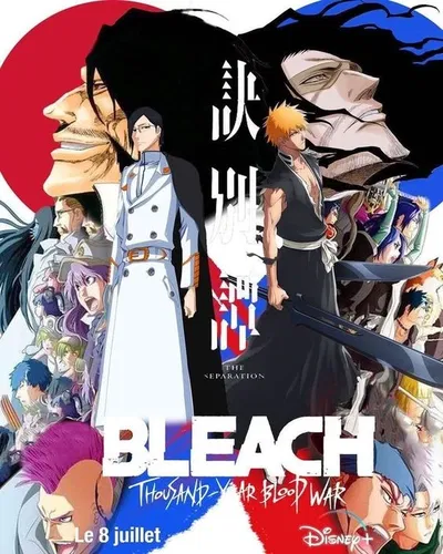 THE BLEACH UNIVERSE (RPG)
