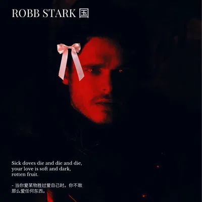 — Robb Stark 国王