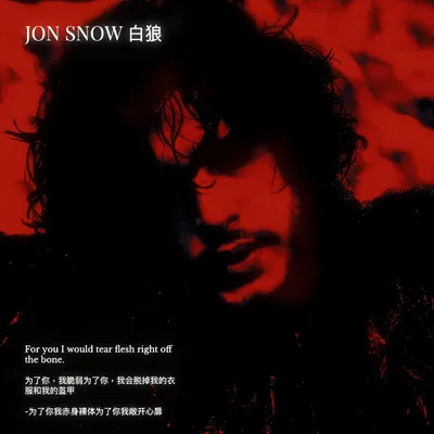 — Jon Snow 独狼 