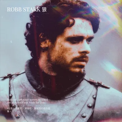 Robb Stark 