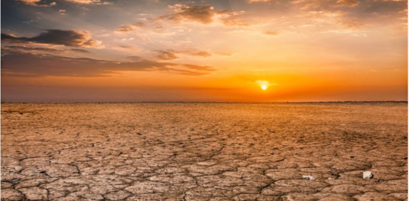 Scorched earth 