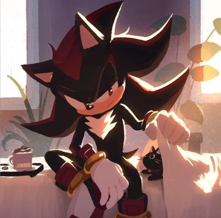 ☆Shadow the Hedgehog☆
