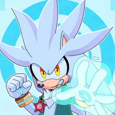 ♡◈Silver the hedgehog◈♡