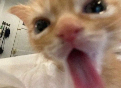 hi.