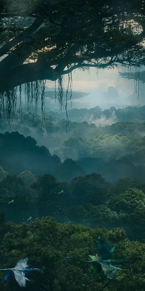 Avatar RPG 