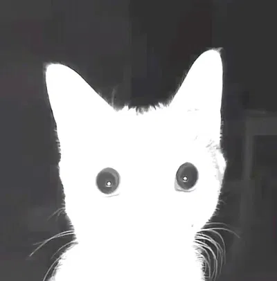 boo
