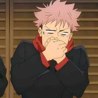 yuji/sukuna