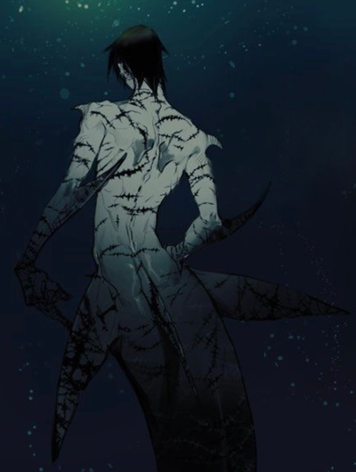 Yori 
