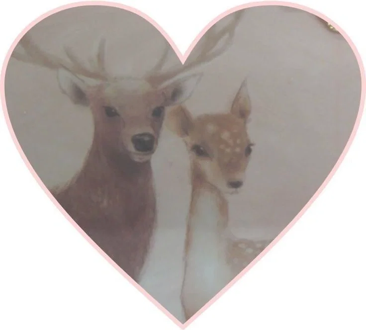 ୭ ̊. Preservation Instinct ˖ ̊⊹ ꣑ৎ‎
