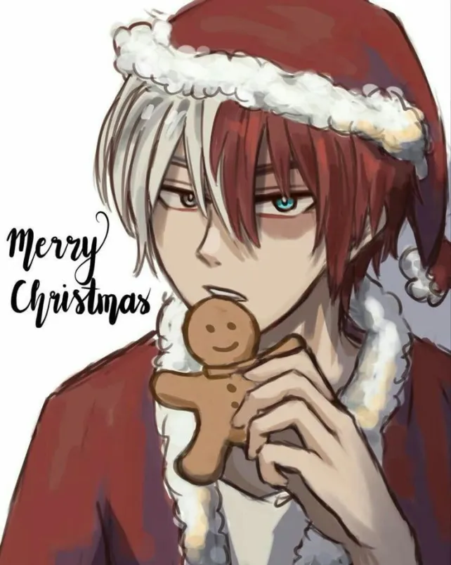 Shoto Todoroki