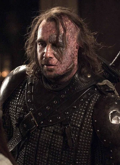 Sandor Clegane (the hound)