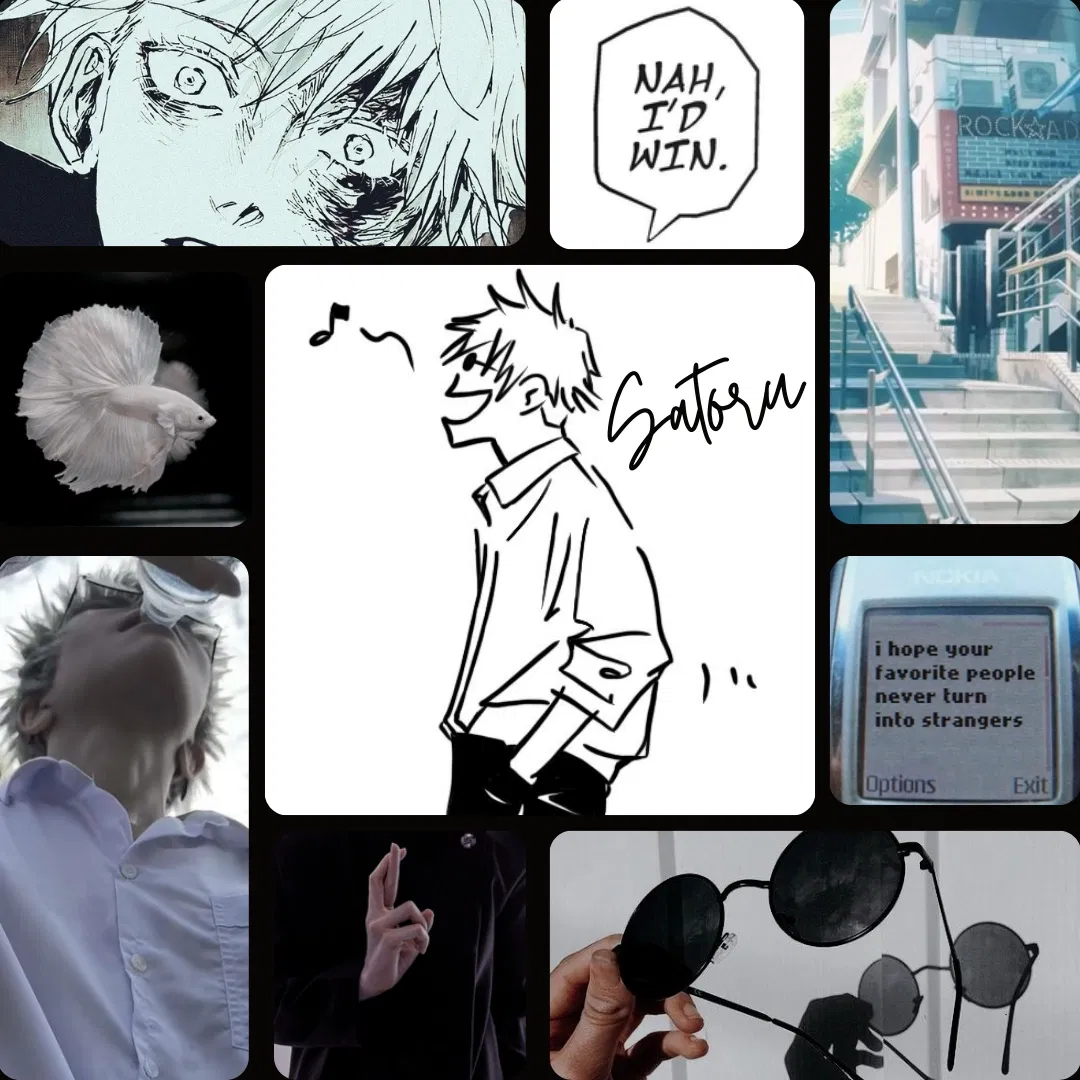 Canon | Satoru Gojo 