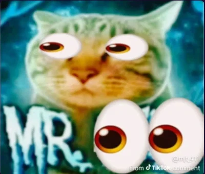 eeeeweeeeeeeewweeeeeeeeweee