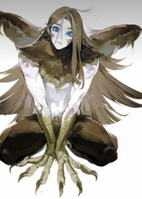Araka 