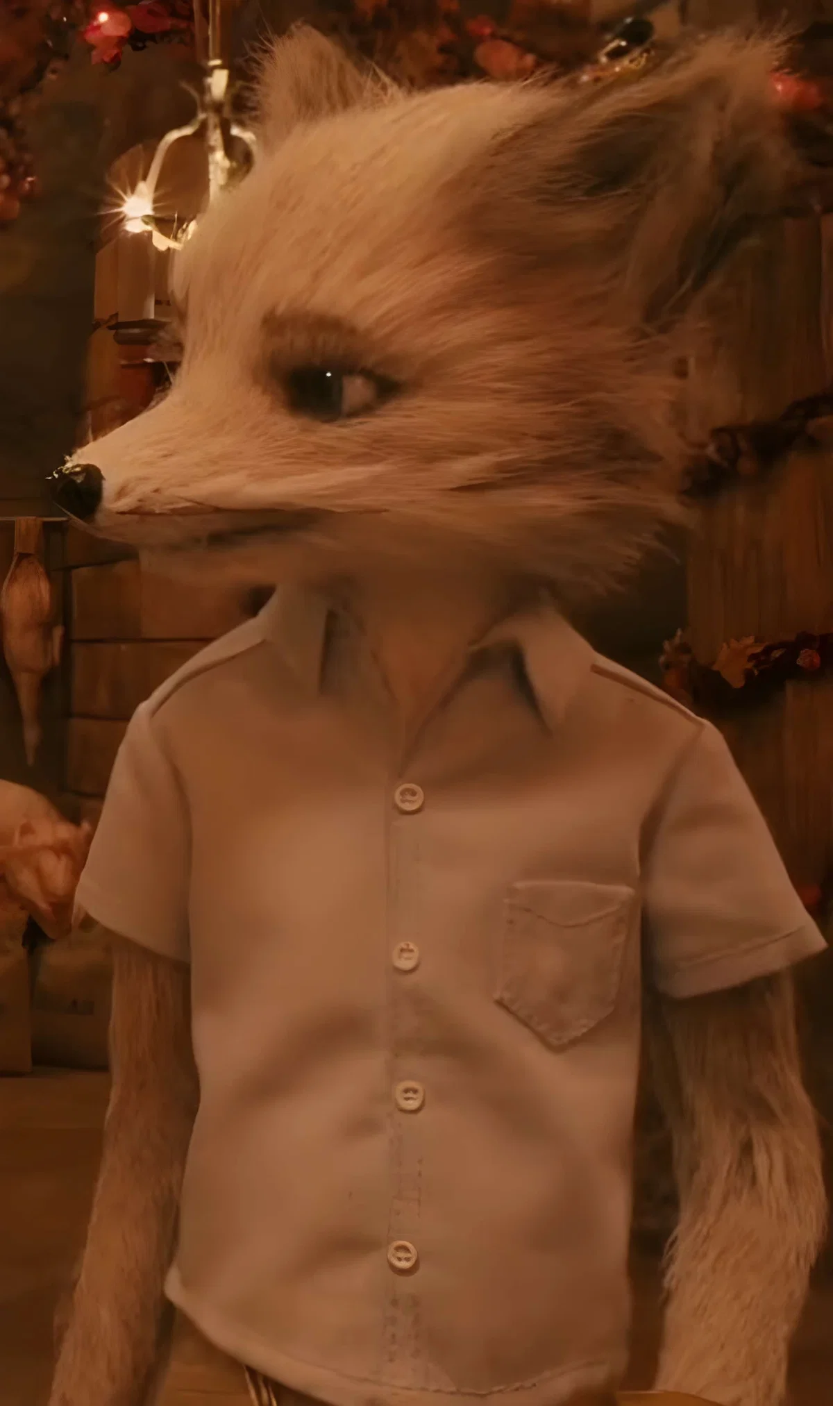 Kristofferson Silverfox