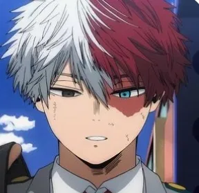 Shoto todoroki
