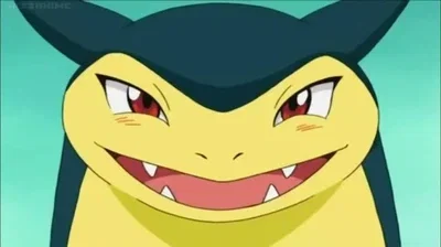 Typhlosion Leak