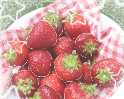 🍓:  ʏᴏᴜ ᴀʀᴇɴ'ᴛ ʟᴇᴀᴠɪɴɢ 😾😾