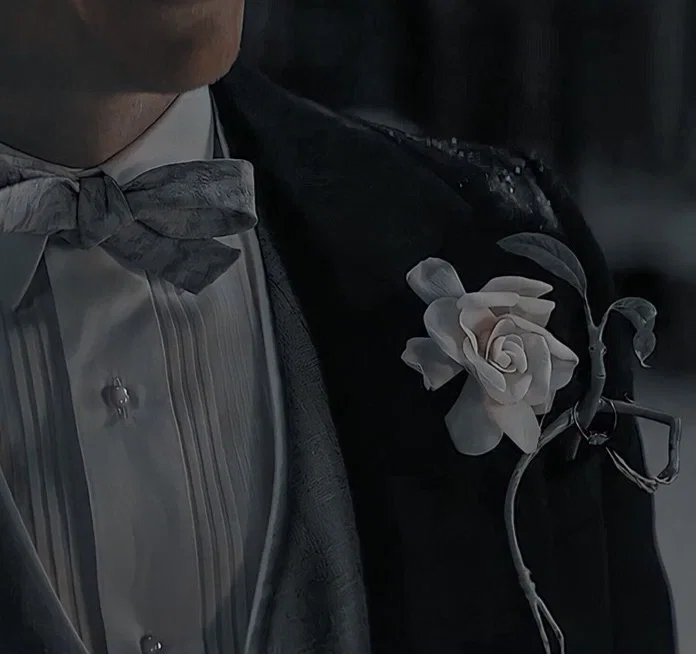 Newton Scamander 