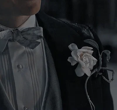 Newton Scamander 