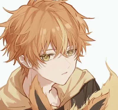 **•̩̩͙✩•̩̩͙* ̊ Akito Shinonome  ̊*•̩̩͙✩•̩̩͙* ̊*