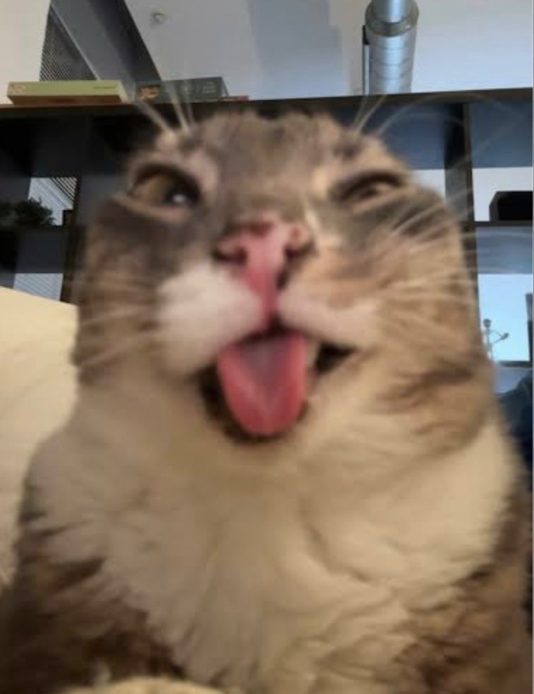 Nuts on u as u scroll by
