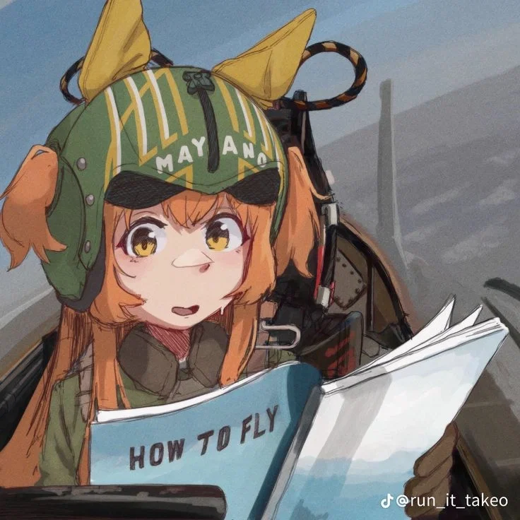 Mayano Top gun // Plane nerd