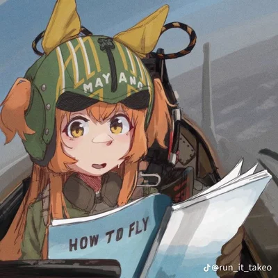 Mayano Top gun // Plane nerd