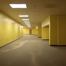Backrooms 