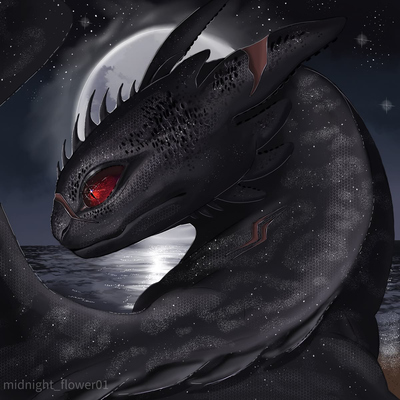 Butcher :Night Fury
