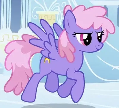 Rainbowshine 