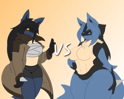 DD pokemon Lucario battle, Dee vs May