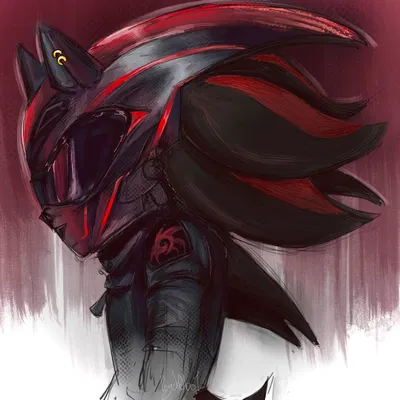 [ Biker ] Shadow The Hedgehog ✰
